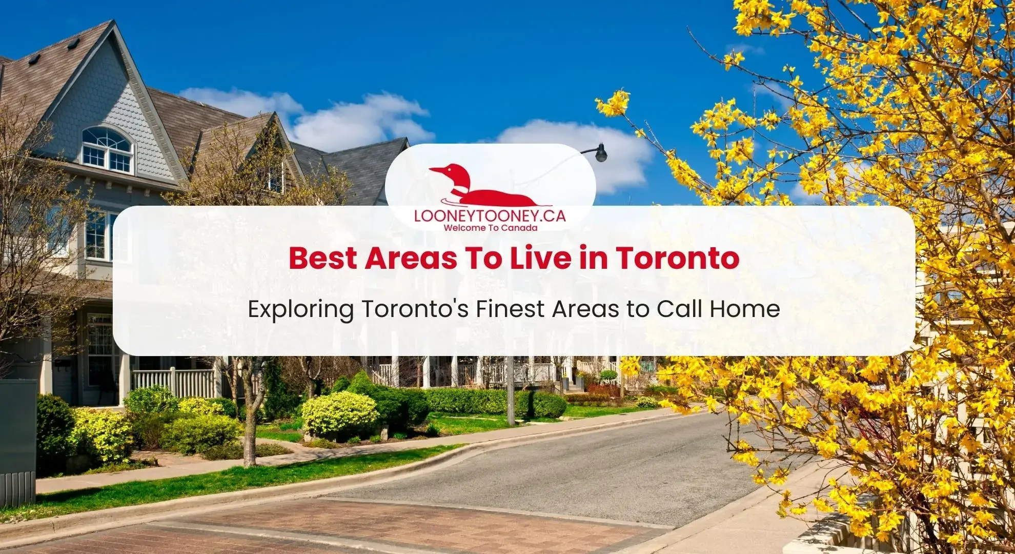 2023 Updated Best Neighborhoods in Toronto looneytooney.ca