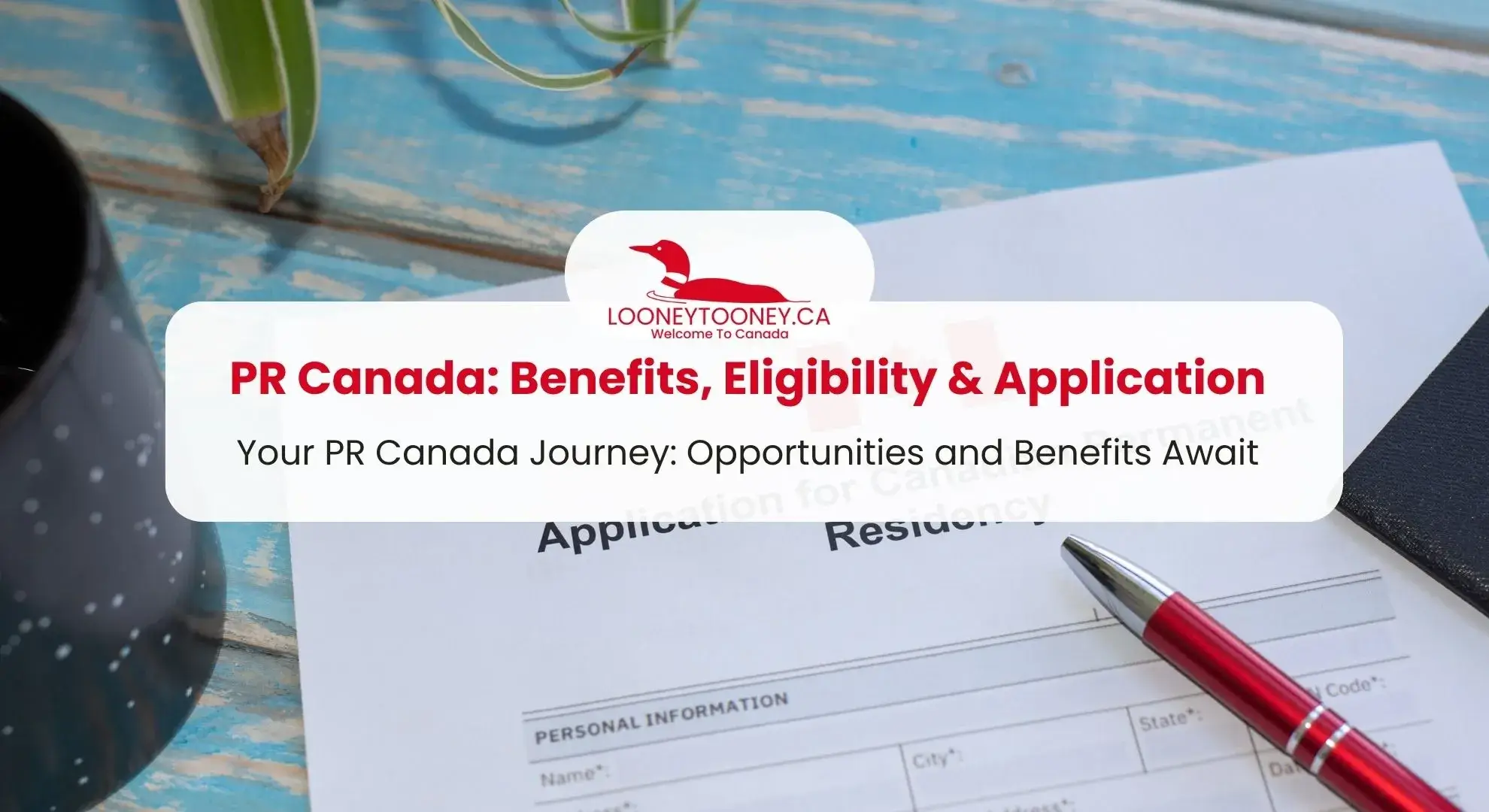 PR Canada Benefits Eligibility Application Steps amp More