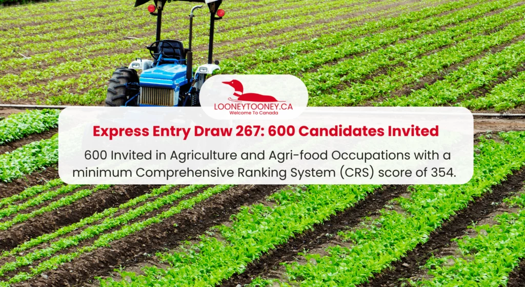 Express Entry Draw 267