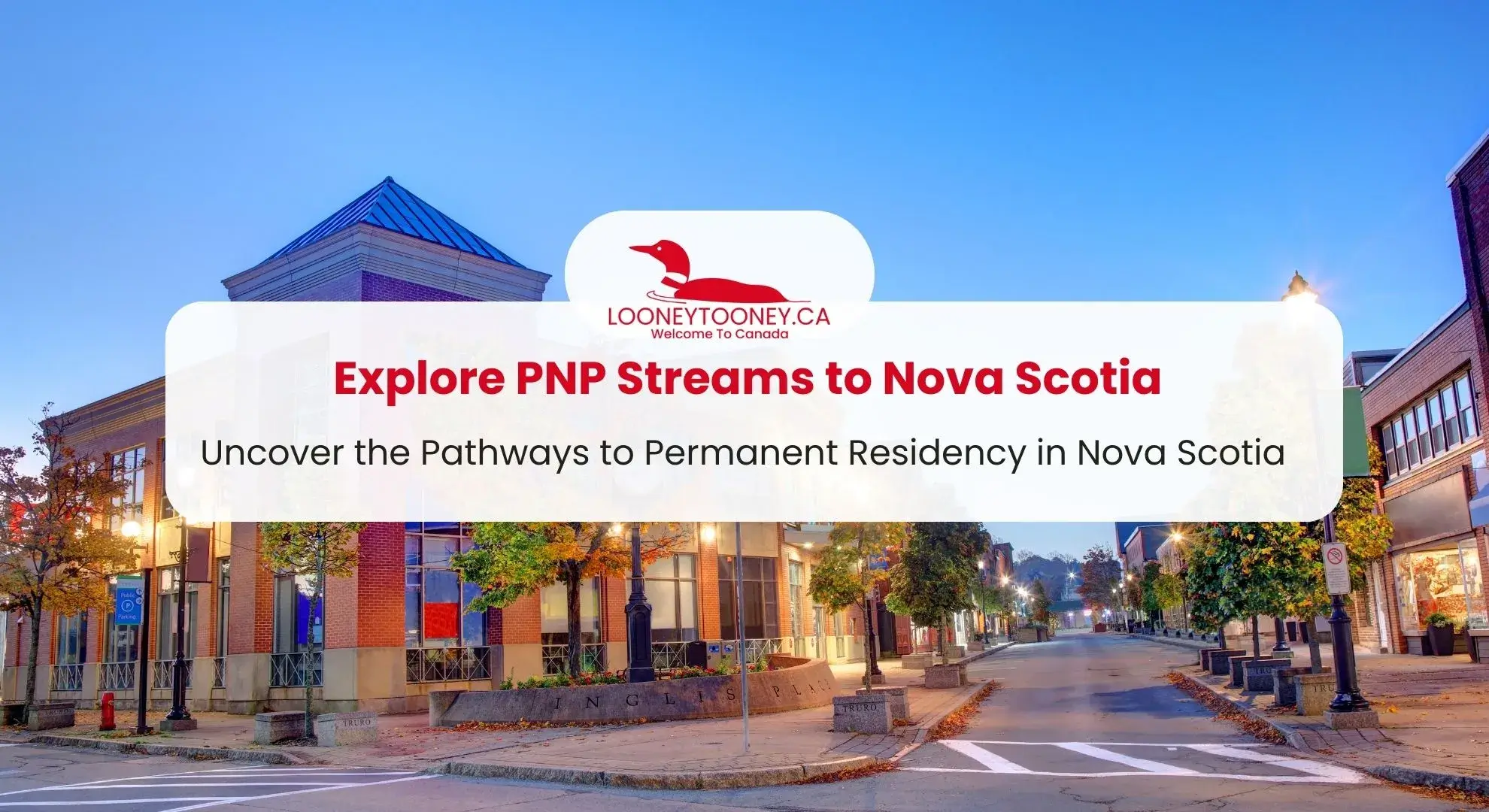 Nova Scotia PNP Program Streams Steps To Apply More   Nova Scotia PNP.webp