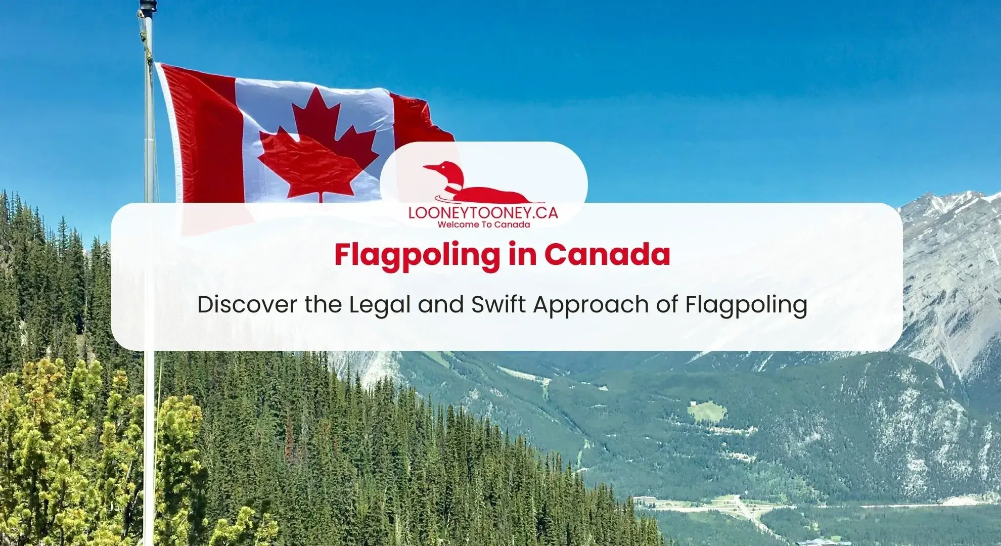 Flagpoling in Canada Check Legal Process & Benefits