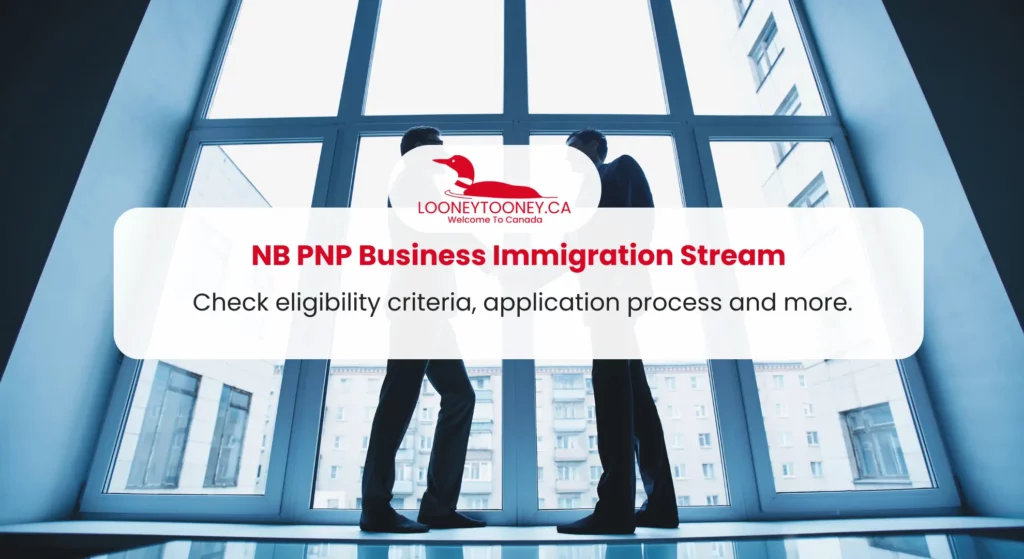 NB PNP Business Immigration Stream