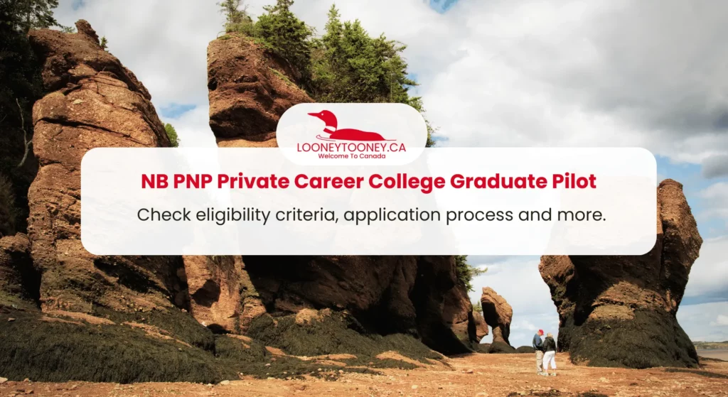 NB PNP Private Career College Graduate Pilot