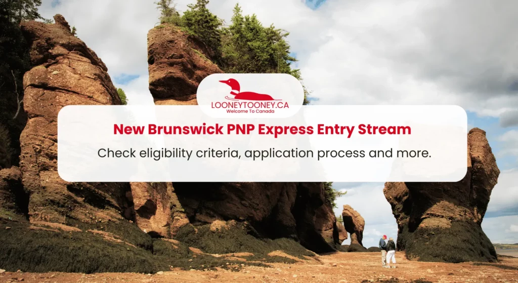 New Brunswick PNP Express Entry