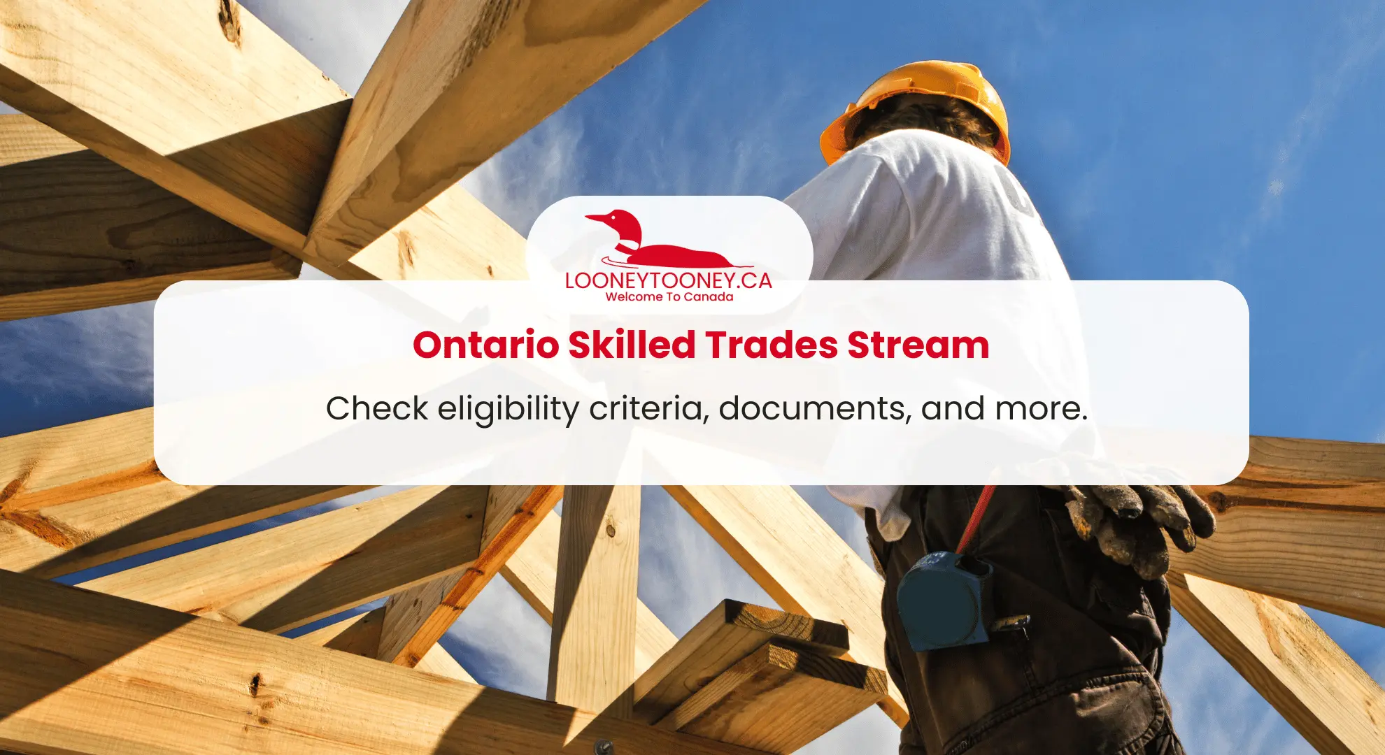 Ontario’s Express Entry Skilled Trades Stream LooneyTooney